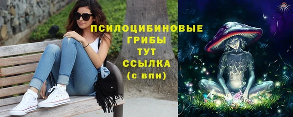 спайс Алзамай