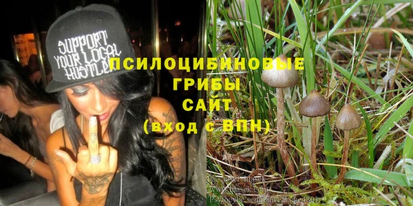 молекула духа Алексеевка