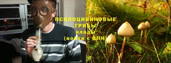 экстази Алексин