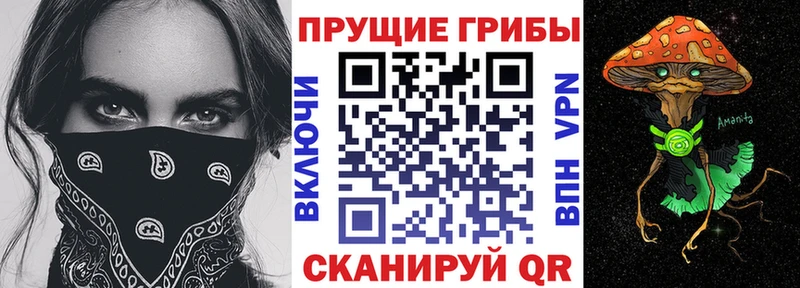 как найти закладки Дмитриев дарк нет формула Галлюциногенные грибы Magic Shrooms